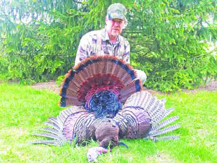 Defender columnist Tom Cross with a 17.5 pound gobbler bagged during the second week of the season.