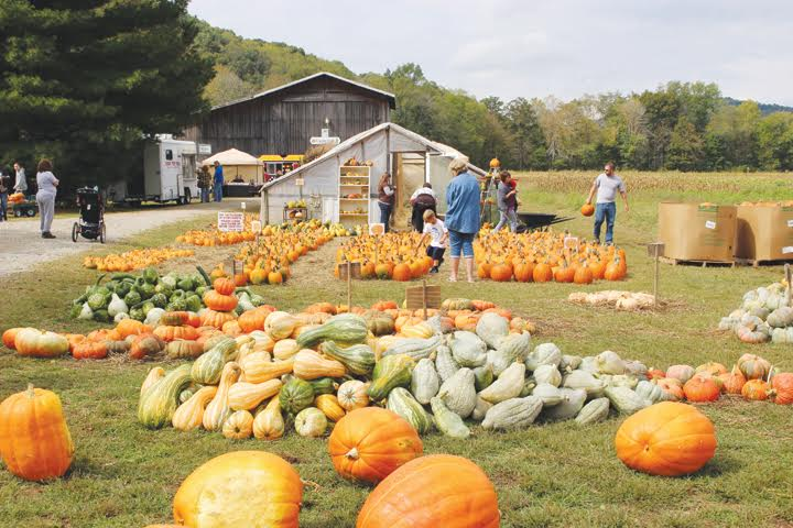 The Caraway Pumpkin Festival has been a favorite for kids and families for more than 15 years.