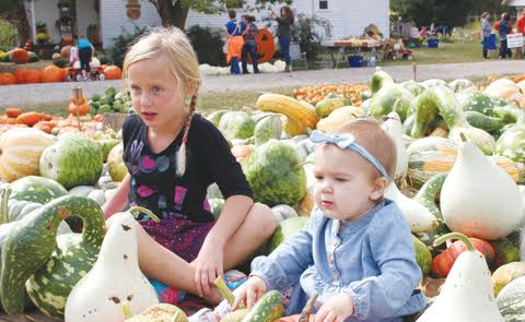 Just like Linus searching for the Great Pumpkin, these youngsters are lost in the pumpkin patch last weekend at Caraway Farm
