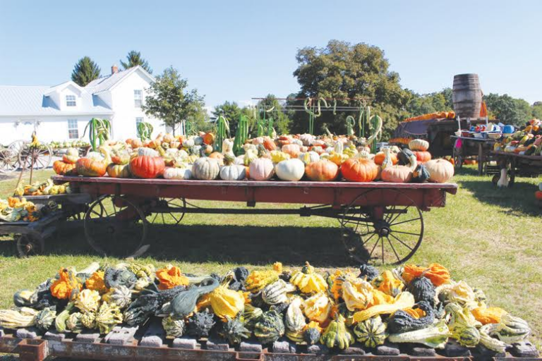 Wheat Ridge Olde Thyme Herb Fair and Harvest Festival begins Friday