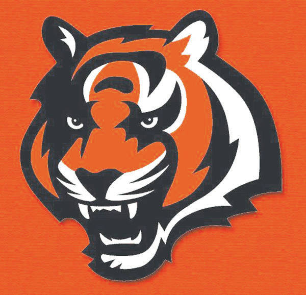 Cincinnati Bengals One Team One Family One Goal Rule The Jungle