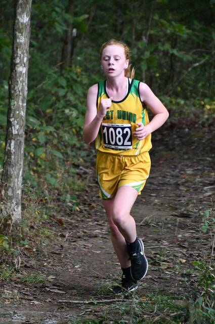 north-adams-sweeps-high-school-titles-at-county-xc-meet-people-s-defender